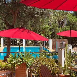 Casa Simba B&B (Adults Only)